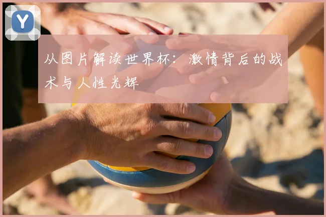 从图片解读世界杯：激情背后的战术与人性光辉