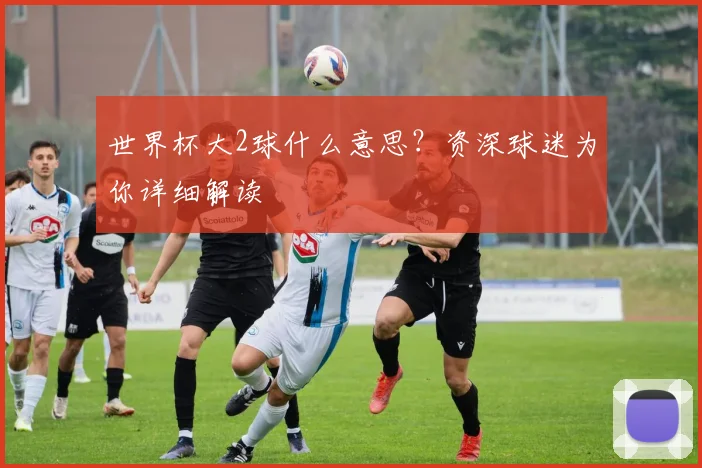 世界杯大2球什么意思？资深球迷为你详细解读