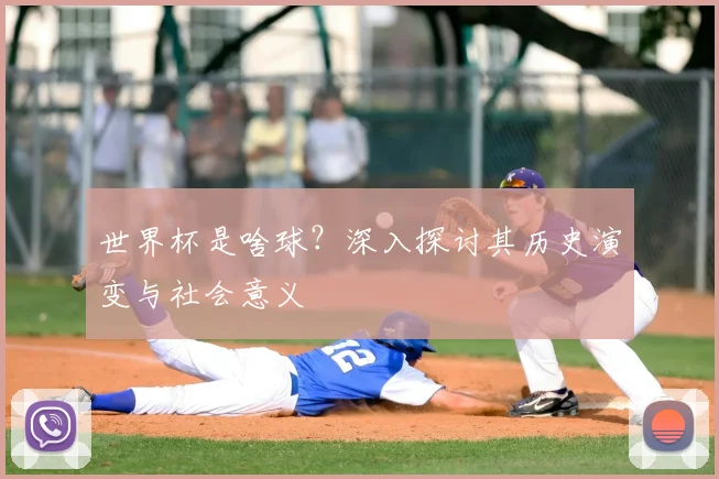 世界杯是啥球？深入探讨其历史演变与社会意义