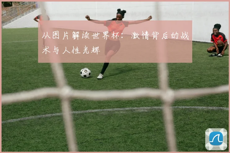 从图片解读世界杯：激情背后的战术与人性光辉
