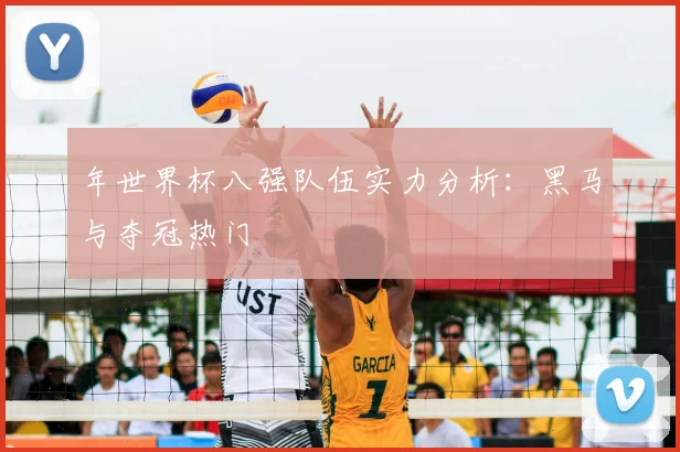 年世界杯八强队伍实力分析：黑马与夺冠热门