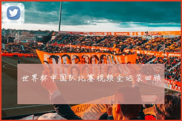 世界杯中国队比赛视频全记录回顾