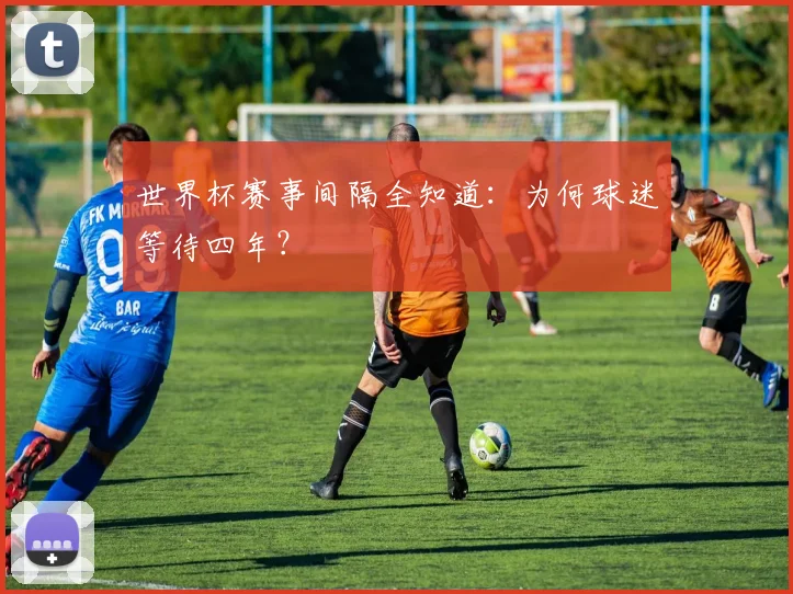 世界杯赛事间隔全知道：为何球迷等待四年？