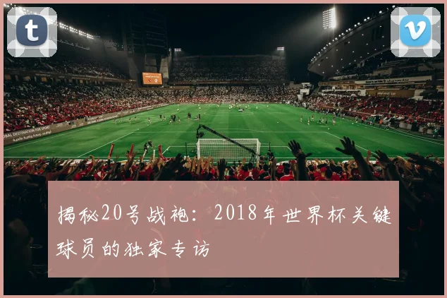 揭秘20号战袍：2018年世界杯关键球员的独家专访