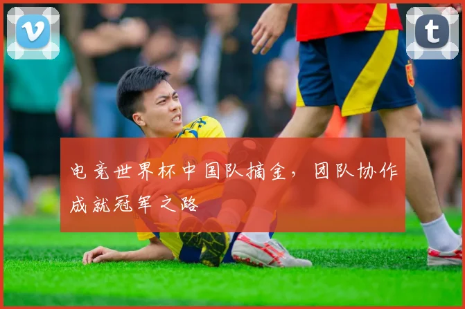 电竞世界杯中国队摘金，团队协作成就冠军之路