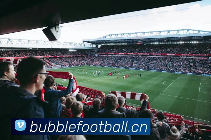 星空体育在线登录官网APP 封面图